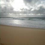 wamberal