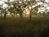 sunrise, jimjim billabong