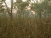 sunrise, jimjim billabong