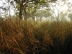 jimjim billabong, sunrise, kakadu national park, NT, australia
