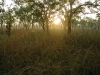 sunrise jim jim billabong - kakadu
